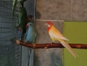 IMG_20240928_145958478.jpg