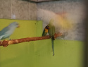IMG-20241114-WA0002.jpeg