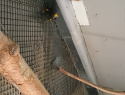 IMG-20241114-WA0010.jpeg