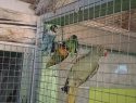 IMG-20241114-WA0000.jpeg